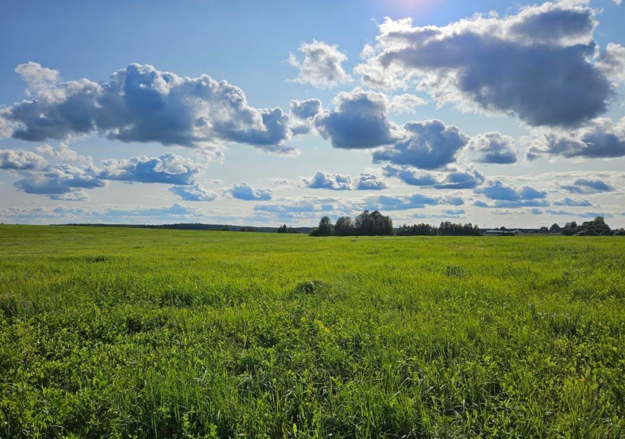 земля городской округ Пушкинский п Ашукино дп. Ашукино, мкр-н Росхмель фото 15