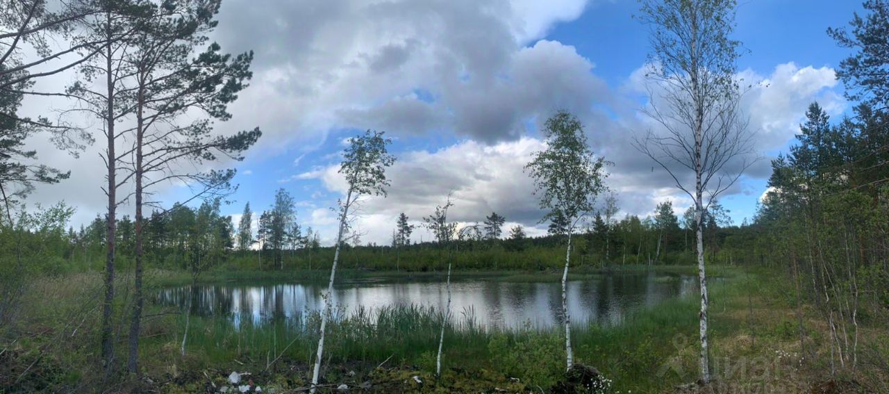 земля р-н Всеволожский д Проба Рахьинское городское поселение, Рахья, дачное некоммерческое партнёрство фото 4