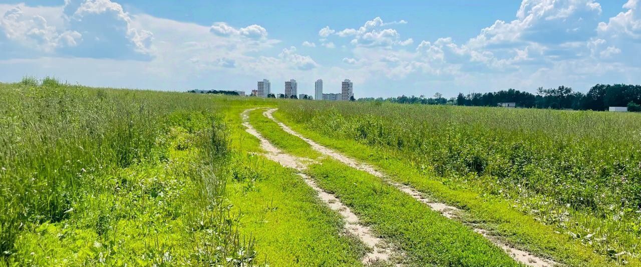 земля городской округ Пушкинский п Правдинский ул 2-я Новопролетарская фото 3