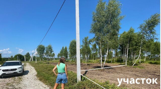 д Скрипово Страховское муниципальное образование фото