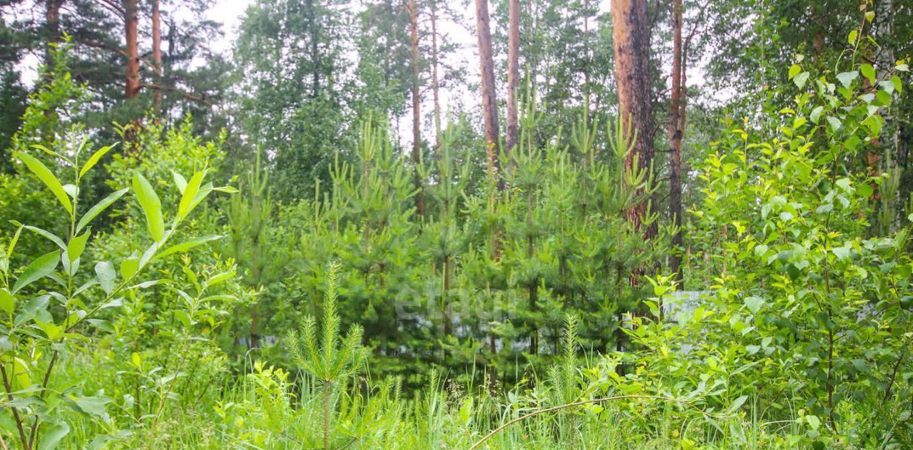 земля г Екатеринбург р-н Октябрьский Восточный берег мкр фото 8