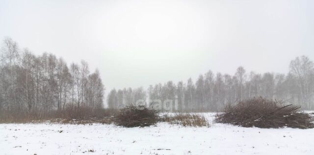 р-н Центральный Центральный административный округ фото