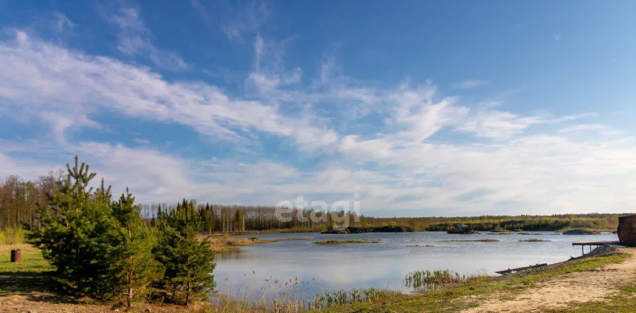 земля р-н Тюменский с Перевалово Русичи кп фото 6