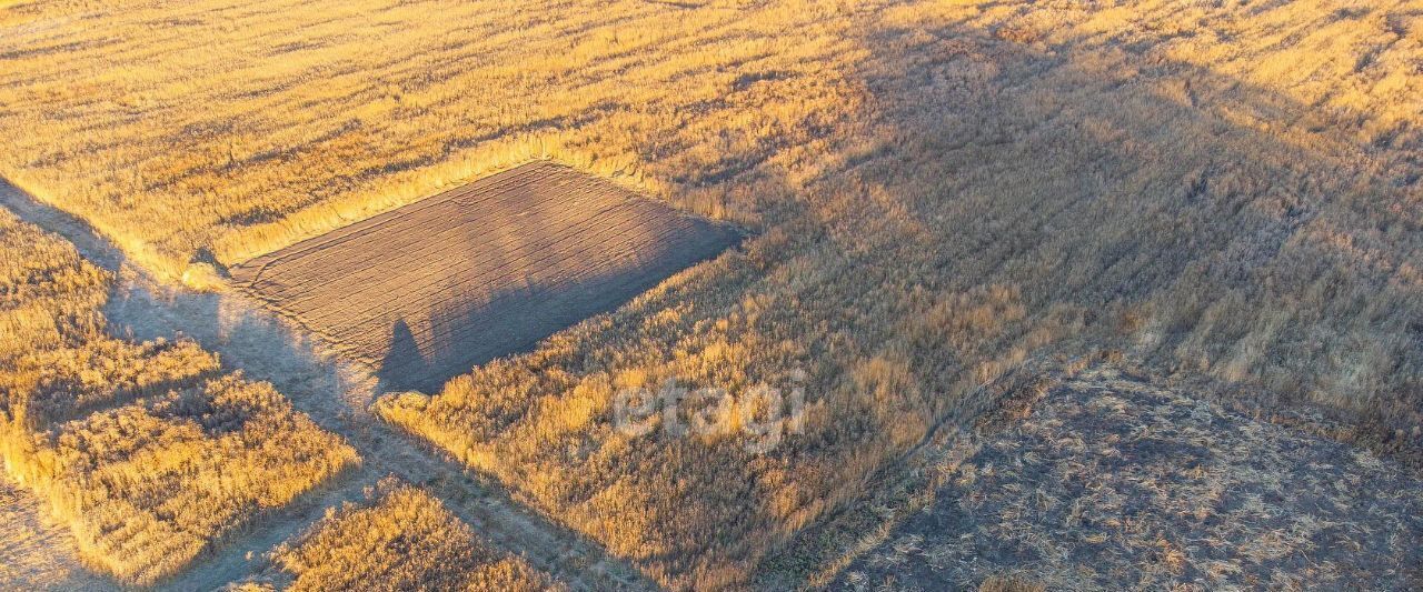 земля р-н Тюменский д Большие Акияры фото 7