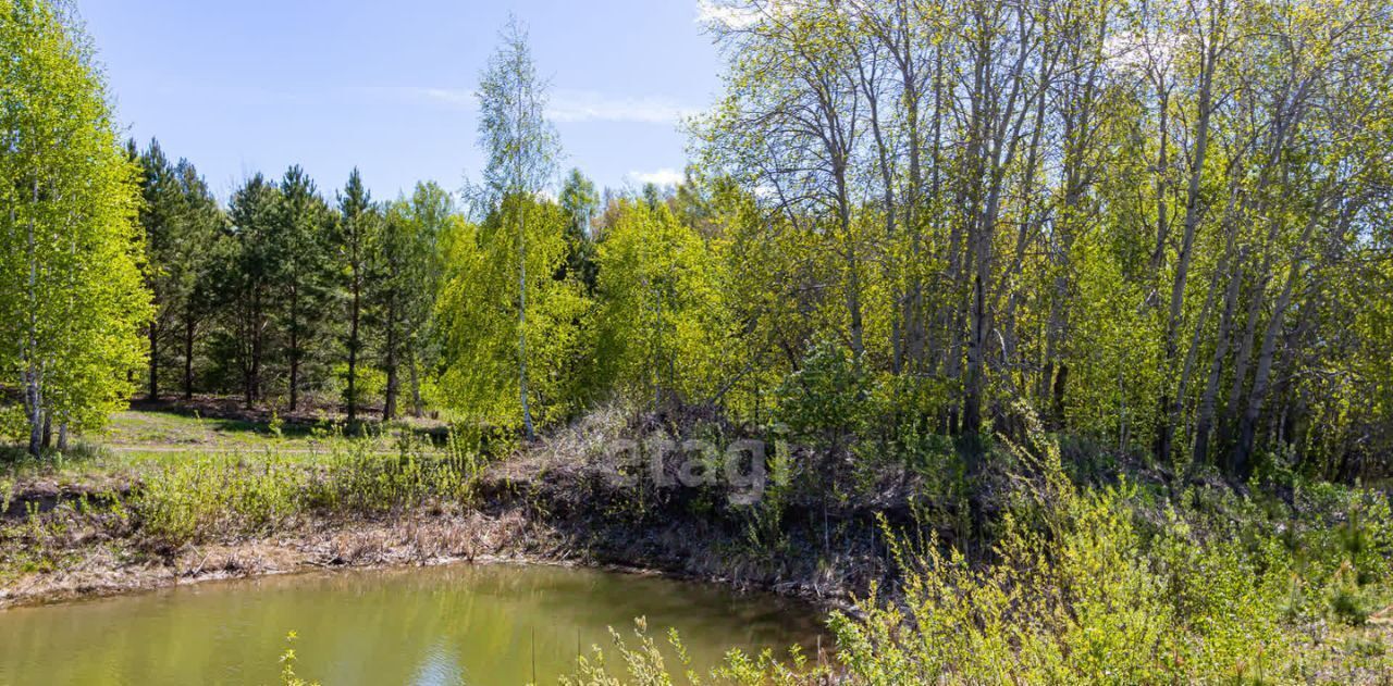 земля р-н Тюменский Рублевская слобода кп фото 15