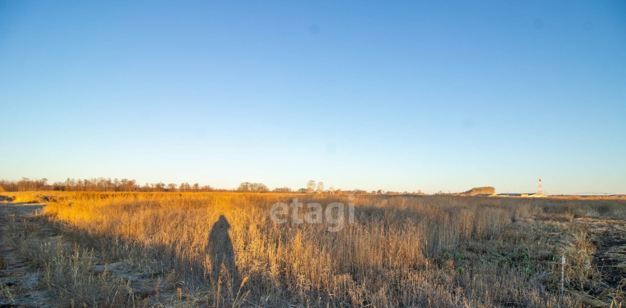 земля р-н Тюменский д Большие Акияры фото 15