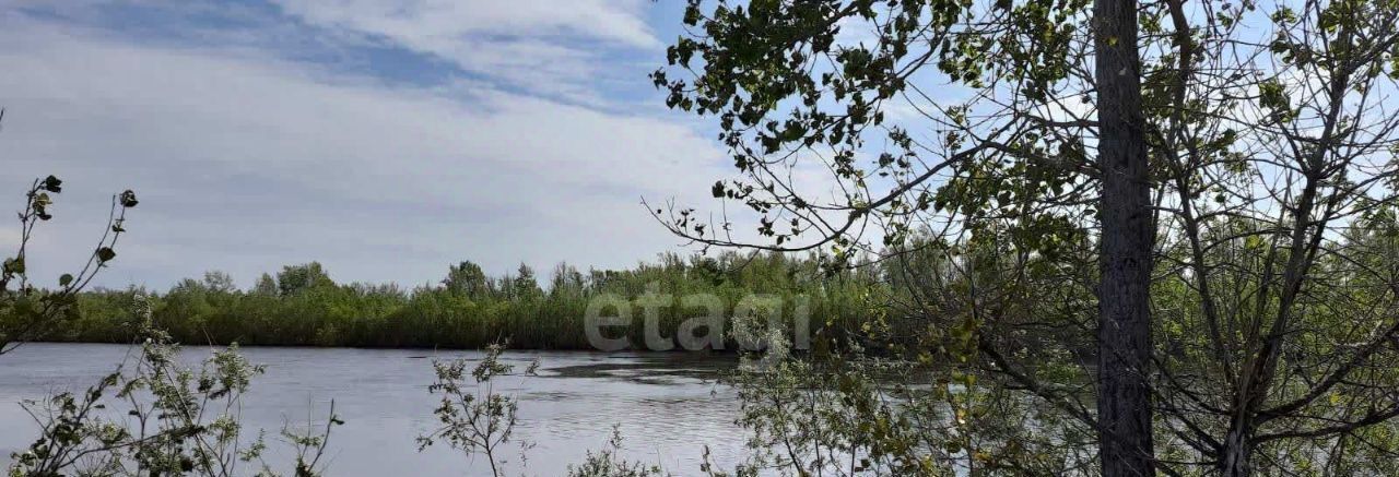 земля р-н Тюменский с Борки Каскаринское сельское поселение фото 19