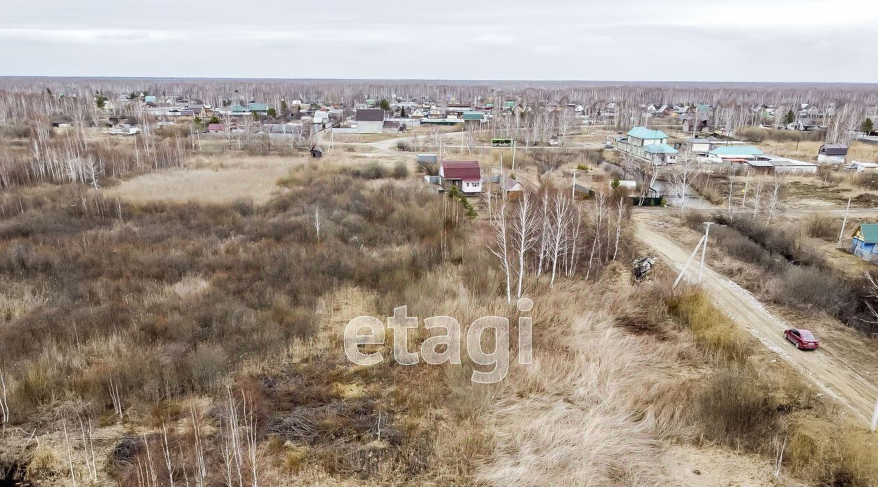 земля г Тюмень р-н Центральный снт Медик ул. Морковная, 98А фото 9