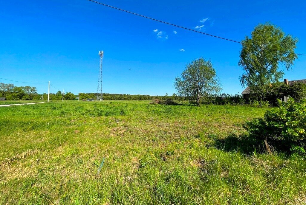 земля городской округ Орехово-Зуевский д Слободище фото 3