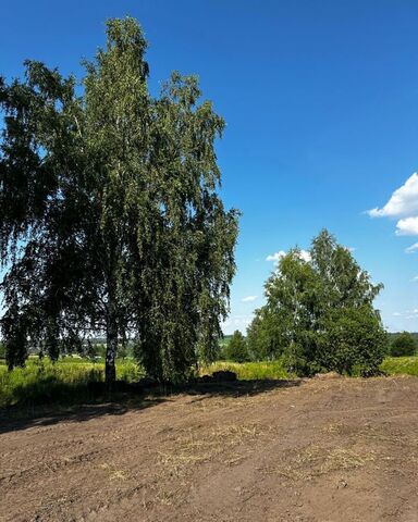 земля с Долбенкино Долбенкинское сельское поселение, Курская область, Железногорск фото