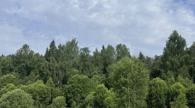 тер. ТСН Удачный Сергиево-Посадский городской округ фото