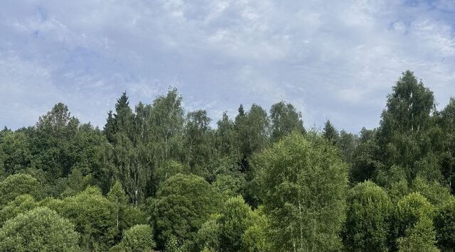 Апрелевка, Наро-Фоминский городской округ фото