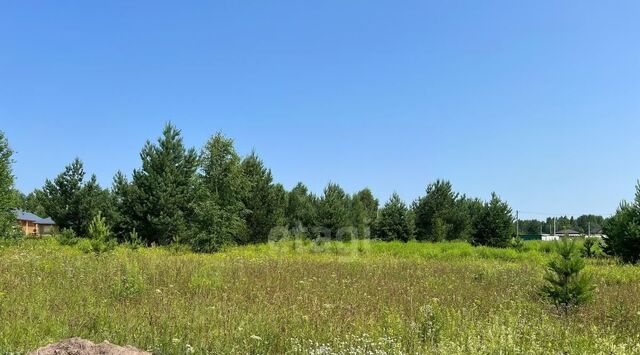 р-н Завьяловский д Крестовоздвиженское фото