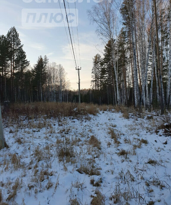 земля р-н Белоярский Белоярский городской округ фото 10