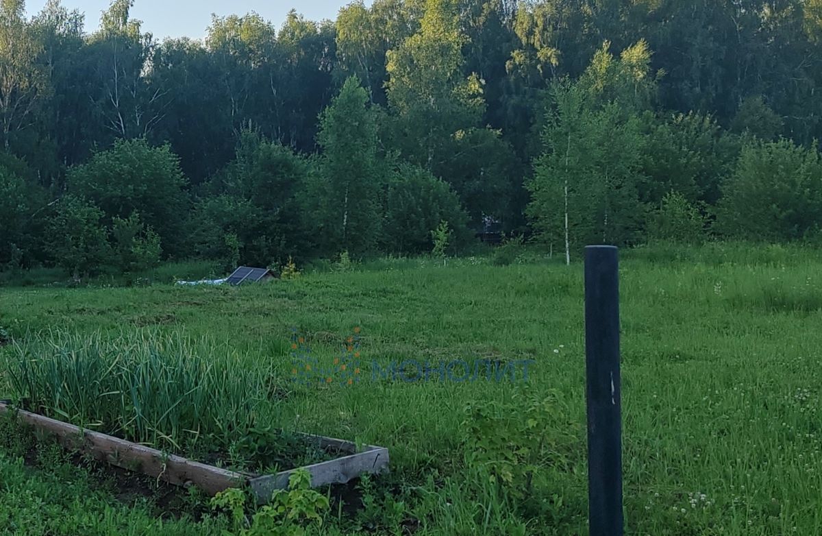 земля р-н Богородский с Ефимьево ул Тенистая 12 фото 6