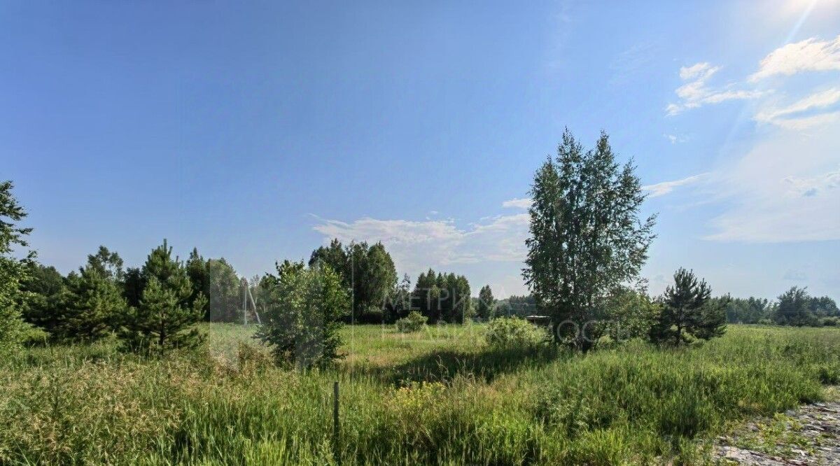 земля р-н Нижнетавдинский снт Геолог-2 фото 3