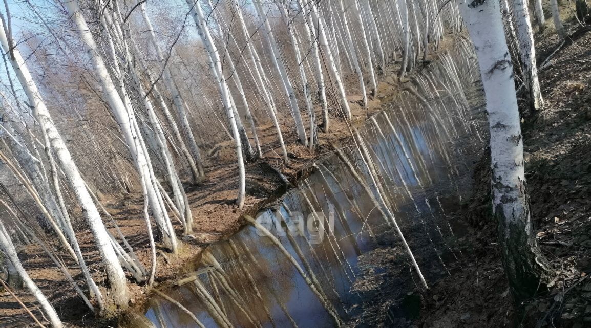 земля р-н Нижнетавдинский снт Фортуна фото 3