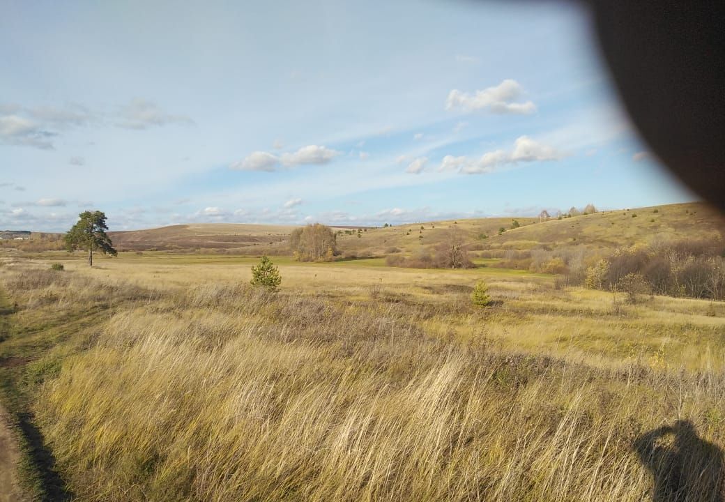 земля р-н Елабужский с Большие Армалы Лекаревское сельское поселение, Нижнекамск фото 6