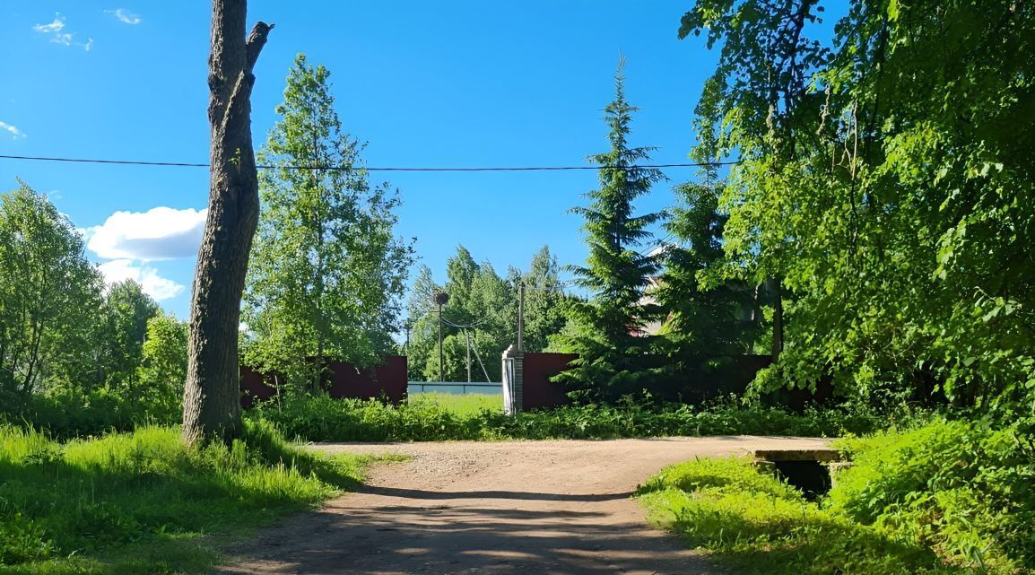 земля р-н Лужский Толмачевское городское поселение, д. Сабо фото 2