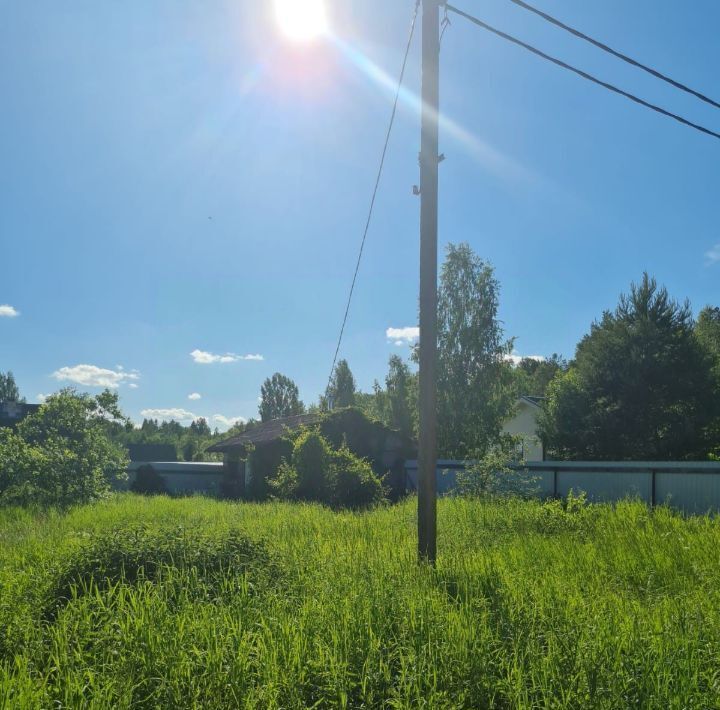 земля р-н Лужский Толмачевское городское поселение, д. Сабо фото 12