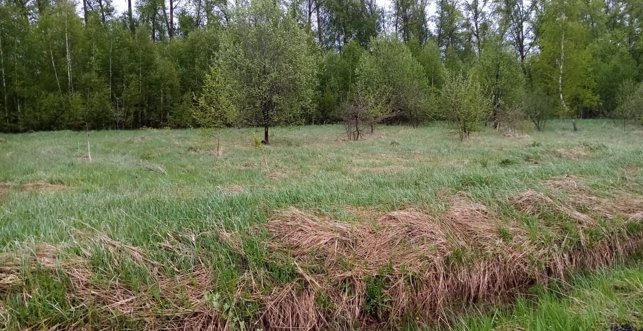 земля городской округ Раменский с Никитское Воскресенск фото 1