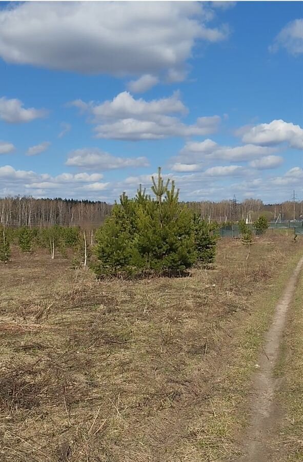 земля р-н Богородский д Демидово Богородск фото 1