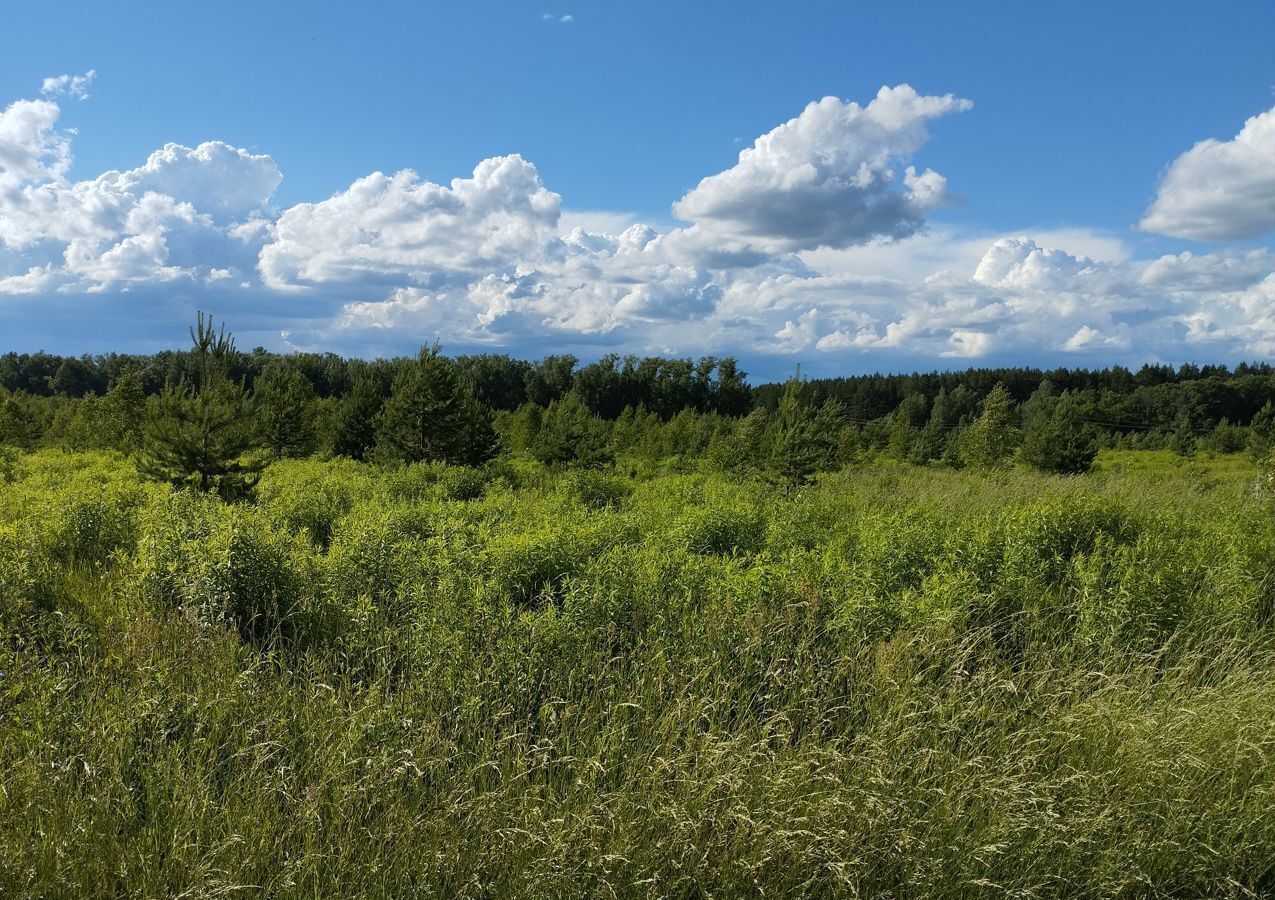 земля р-н Богородский д Демидово Богородск фото 2