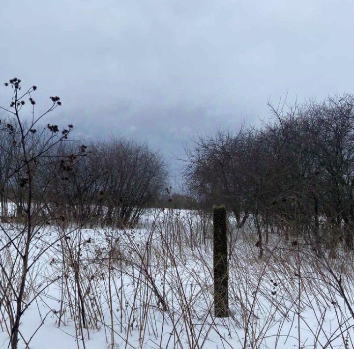 дом р-н Арзамасский с Большое Туманово ул Свободы Арзамас городской округ фото 5