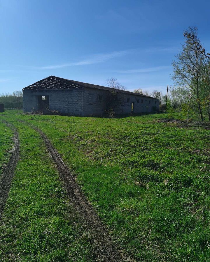 свободного назначения р-н Павловский с Чмутово Горбатов фото 16