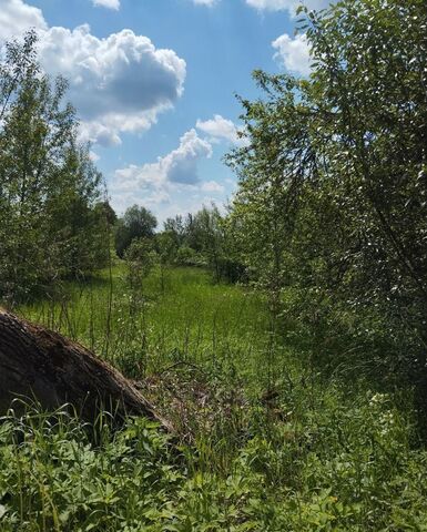 Яконовское сельское поселение, Торжок фото