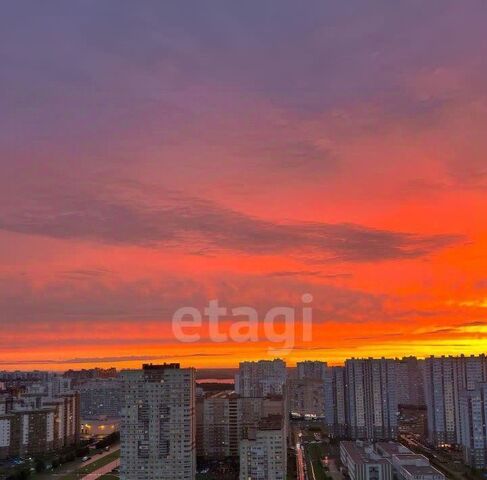 метро Комендантский Проспект ул Яхтенная 28 округ № 65 фото