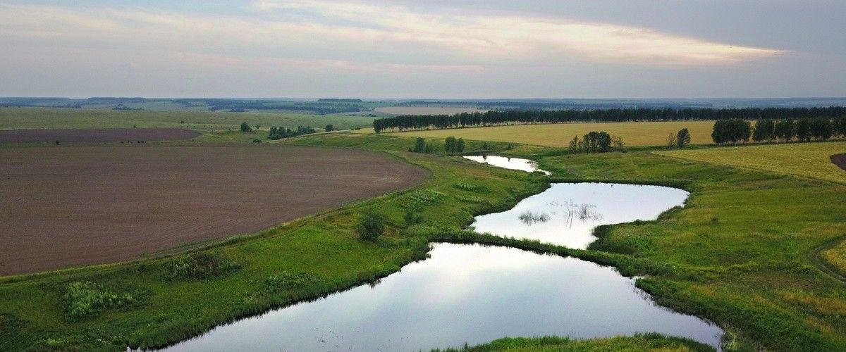 земля р-н Ясногорский Теляковское муниципальное образование, Зеленая миля кп фото 10