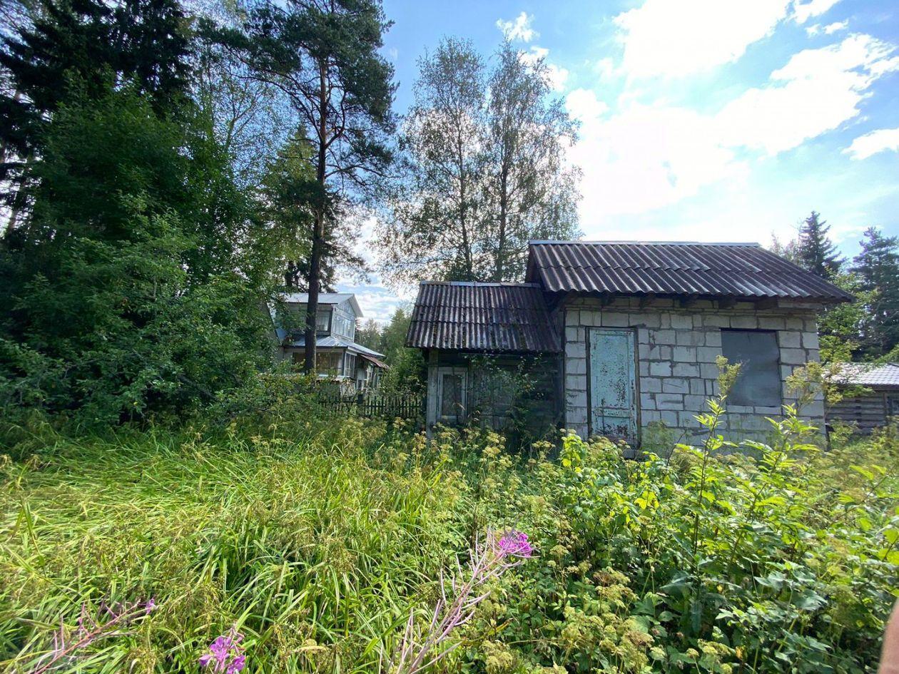 земля р-н Всеволожский снт Белоостров Санкт-Петербург, Курортный район, Тенистый переулок фото 1