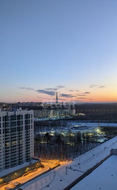 квартира г Санкт-Петербург метро Комендантский Проспект ул Плесецкая 14 ЖК «Полис на Комендантском» округ Юнтолово фото 13