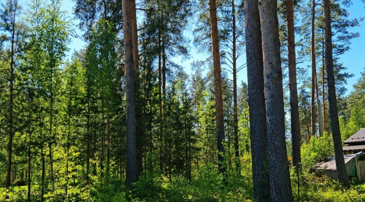 дом р-н Гатчинский Вырица городской поселок, Купчино, ул. Мира фото 12