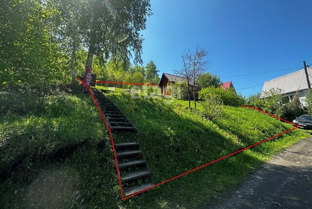 садоводческое товарищество Сосновый Бор фото