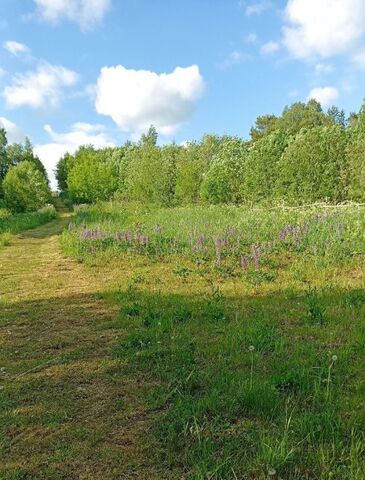 земля д Мятусово Подпорожское городское поселение фото