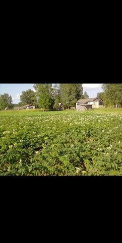 земля д Веретье Федорковское сельское поселение, Парфино фото