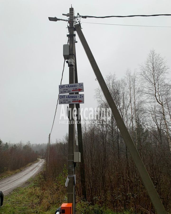 земля р-н Приозерский п Кузнечное Трасса Сортавала, 120 км, Кузнечнинское городское поселение, садоводческое товарищество Алмаз, Сосновая ул фото 2