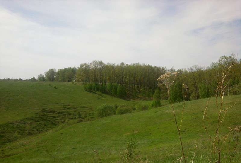 земля р-н Шацкий с Новософьино Борковское сельское поселение, Шацк фото 10