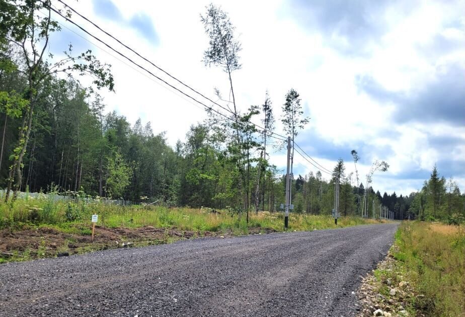 земля городской округ Наро-Фоминский коттеджный пос. Лесная Аллея, 60, Наро-Фоминск фото 3