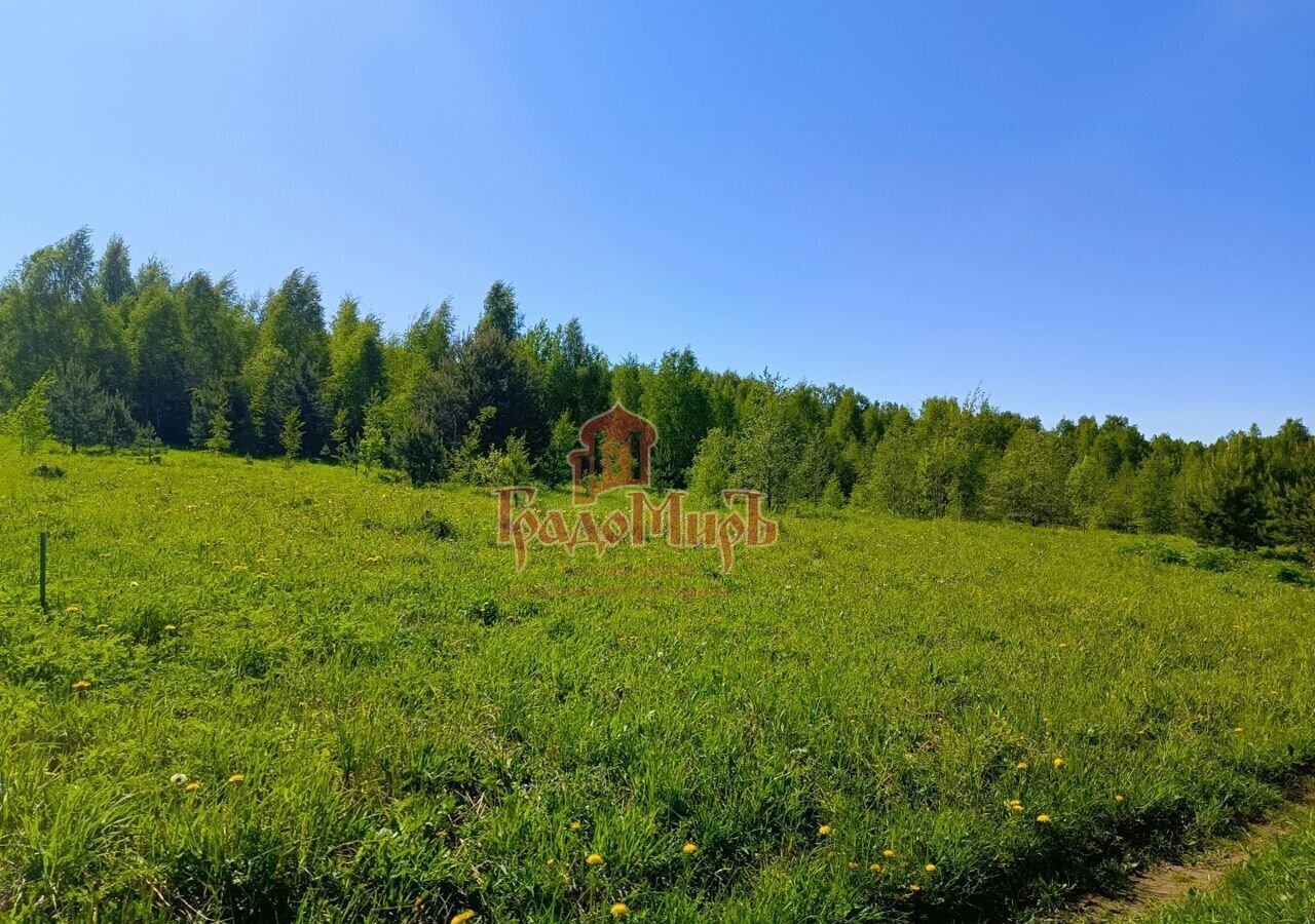 земля городской округ Сергиево-Посадский д Селково Богородское фото 5