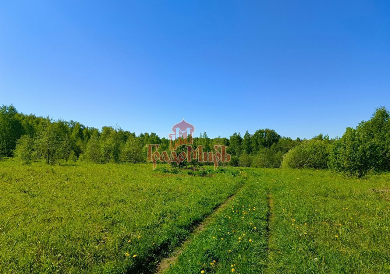 земля городской округ Сергиево-Посадский д Селково Богородское фото 6