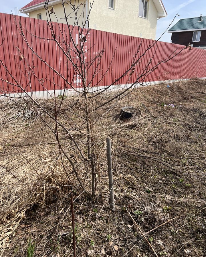 земля р-н Дальнеконстантиновский д Кременки снт Ручеек 9-я ул, Буревестник фото 13