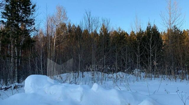 с Тюнево ул Новогодняя фото