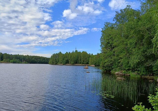 г Выборг туп Лазурный Выборгское городское поселение, СНТ Радуга фото