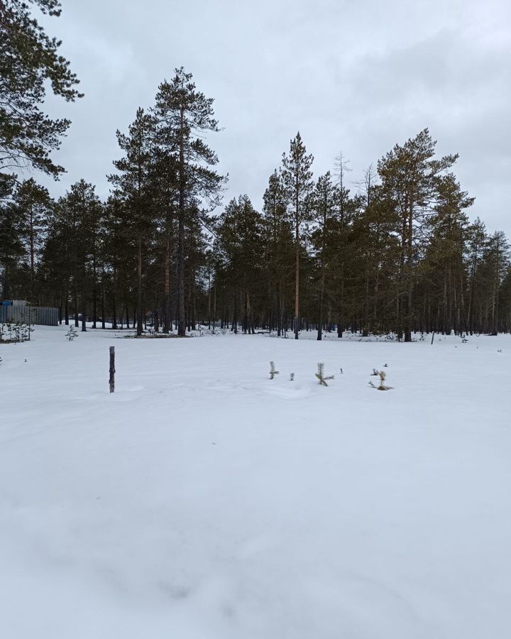 земля г Новый Уренгой снт Дружба Декабрьский пер., 17, Муравленко фото 2