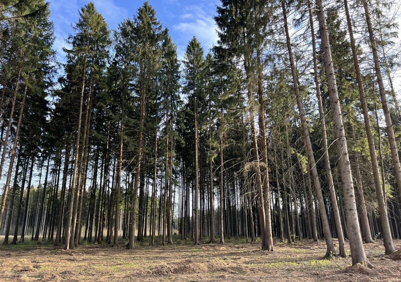 земля городской округ Мытищи д Аксаково Марфино фото 2