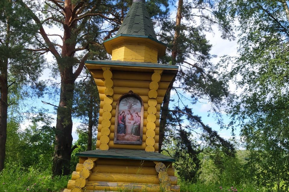 дом городской округ Сергиево-Посадский рп Богородское СНТ Надежда фото 4