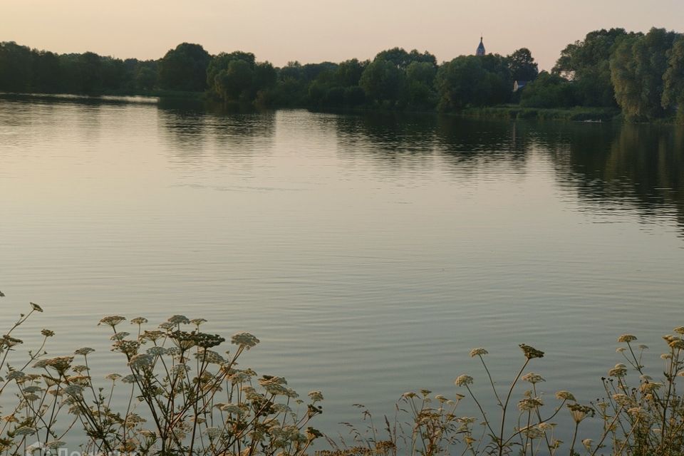 дом городской округ Раменский д Антоново ул Молодежная фото 3